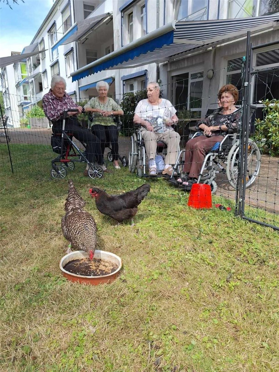 Vier Bewohnerinnen sitzen auf Rollatoren oder in Rollstühlen im Garten. Vor ihnen ist ein Gehege, in dem sich zwei Hühner befinden.
